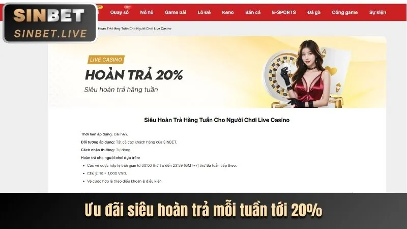 Chương trình hoàn trả và VIP 7789bet